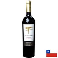 Vinho-Tinto-Tierra-del-Fuego-Gran-Reserva-Cabernet-Sauvignon-750ml-184252.jpg
