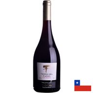 Vinho-Tinto-Tierra-Del-Fuego-Gran-Reserva-Pinot-Noir-750ml-184246.jpg