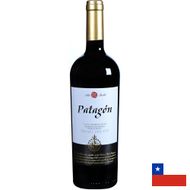 Vinho-Tinto-Patagon-Gran-Reserva-Cabernet-Sauvignon-750ml-175216.jpg