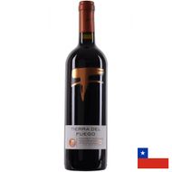Vinho-Tinto-Tierra-del-Fuego-Cabernet-Sauvignon-750ml-184251.jpg
