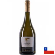 Vinho-Branco-Tierra-del-Fuego-Gran-Reserva-Chardonnay-750ml-184260