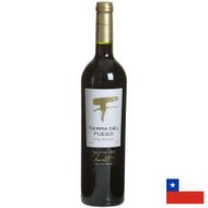 Vinho-Tinto-Tierra-del-Fuego-Gran-Reserva-Merlot-750ml-184258.jpg