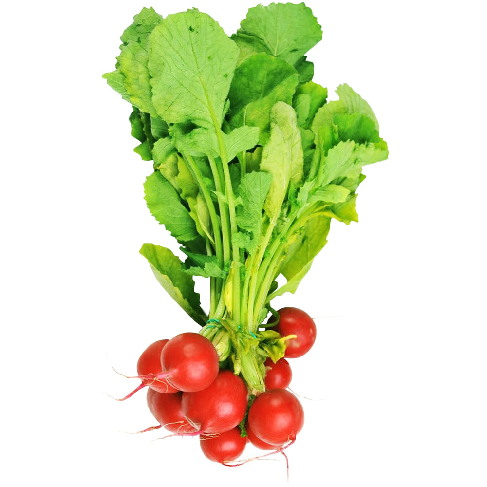 Rabanete Maço 1un